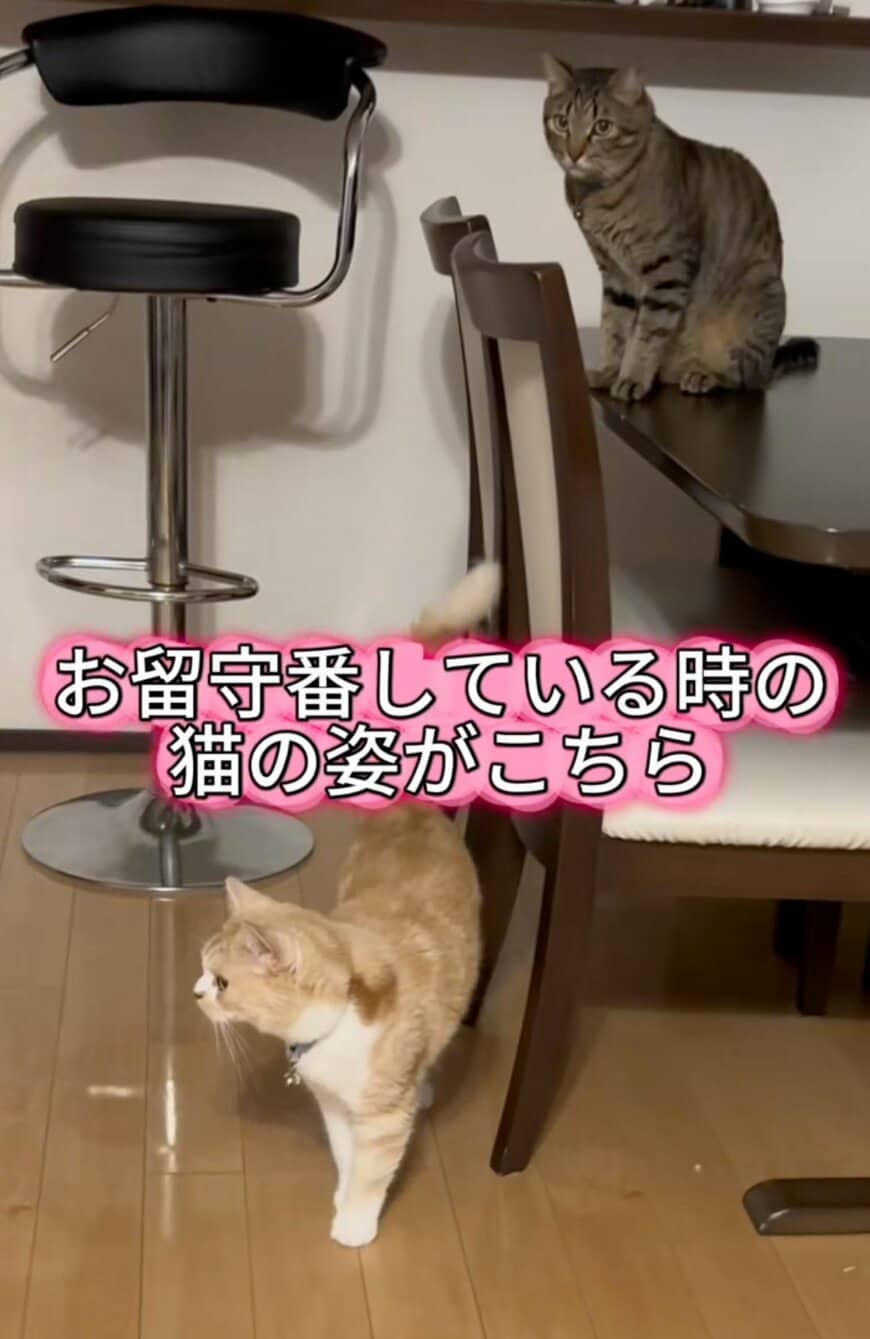 出所：@sorakai0905