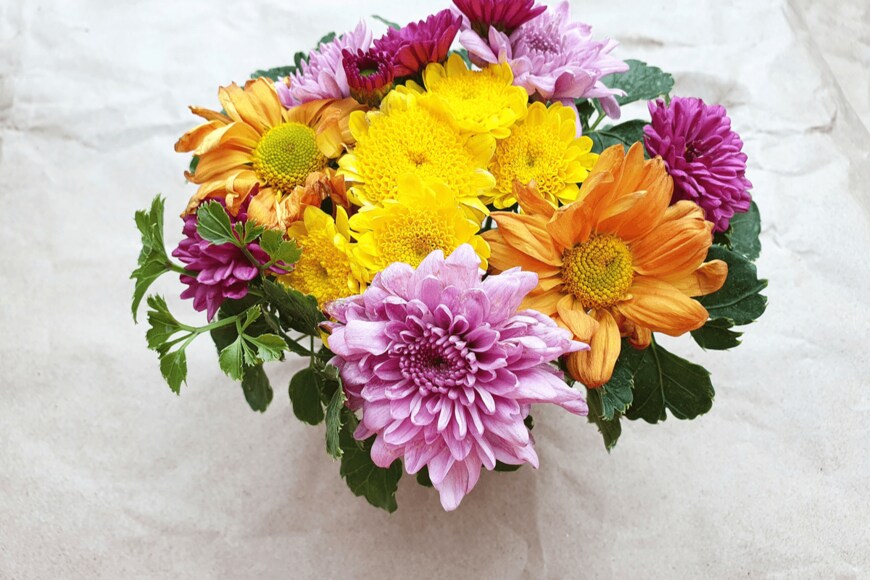 NPvancheng55/shutterstock.com