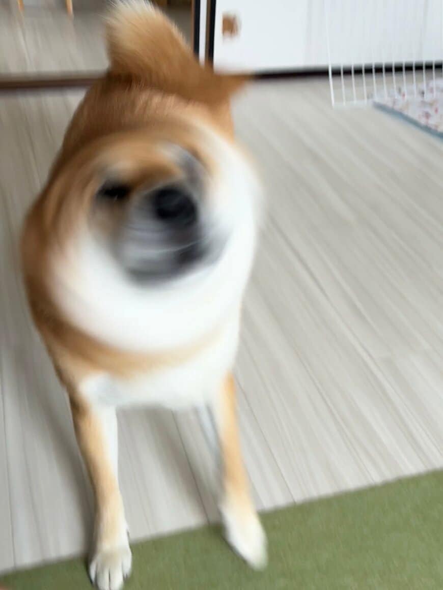 出所：@fufufufufu_ta