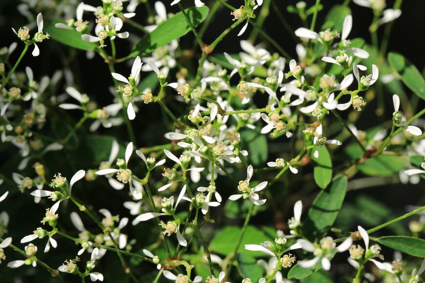 Traveller70/Shutterstock.com