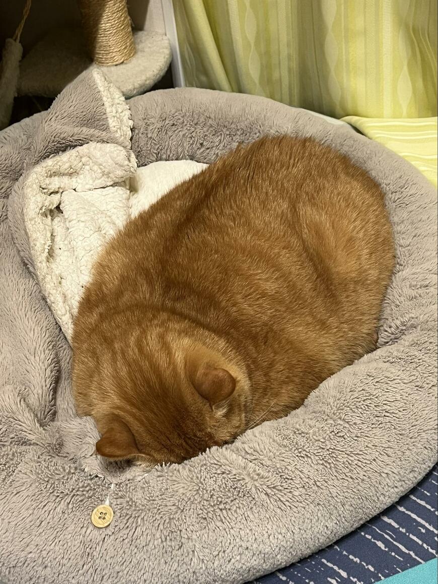 出所：@kagisuzu0531