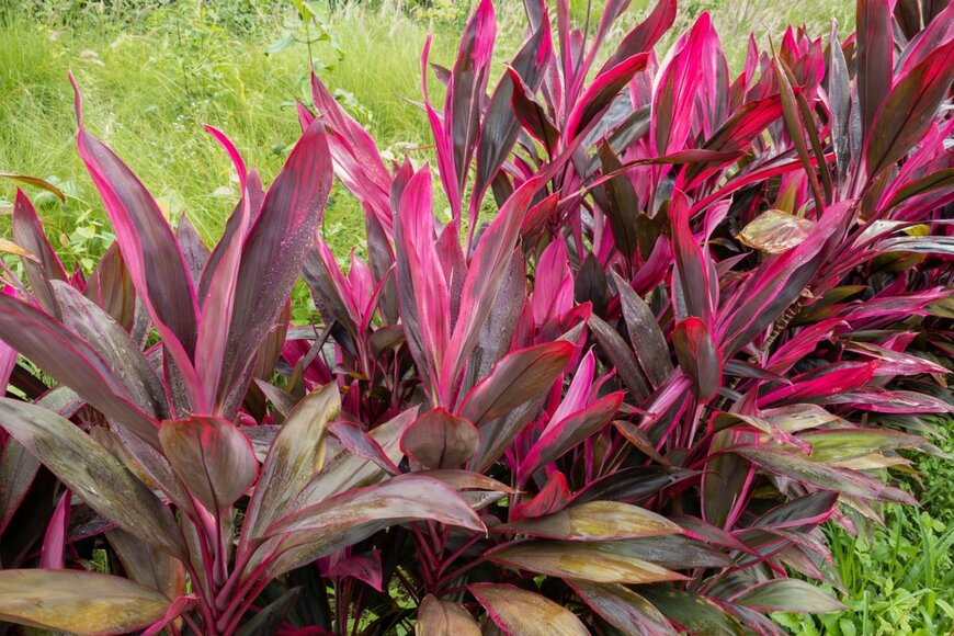 socrates471/shutterstock.com