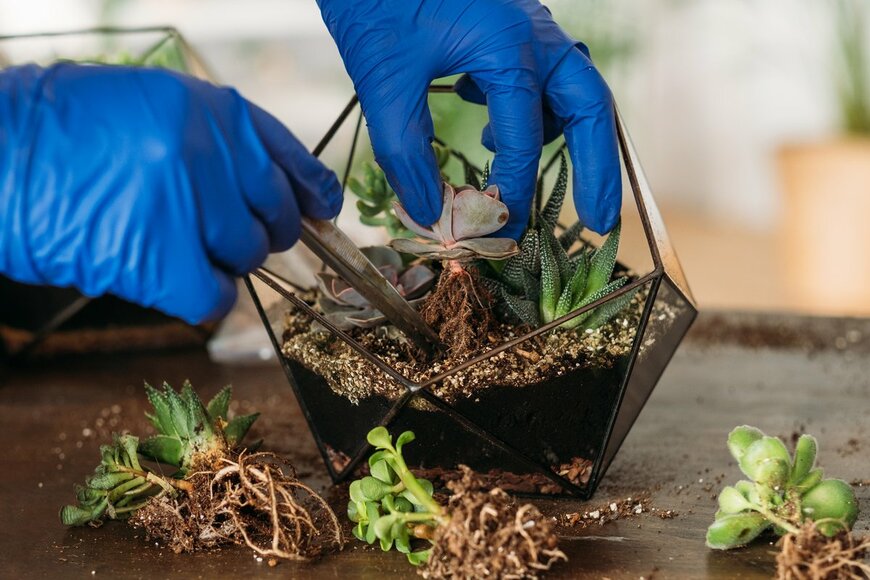 Golubovy/Shutterstock.com