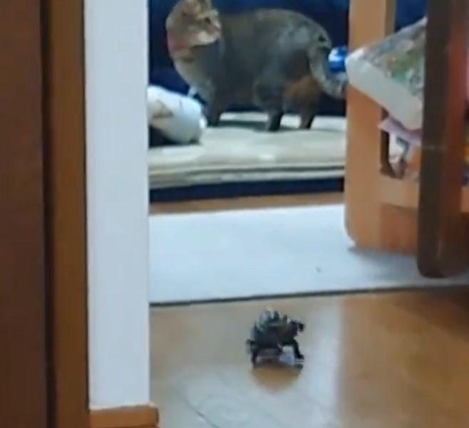 出所：@Mh0MLiErcV8E97C