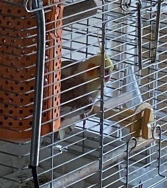 出所：@00shitemita