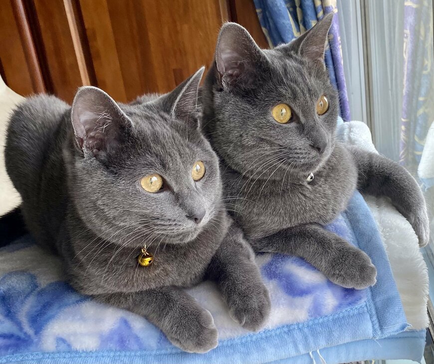 出所：@luna7taka9