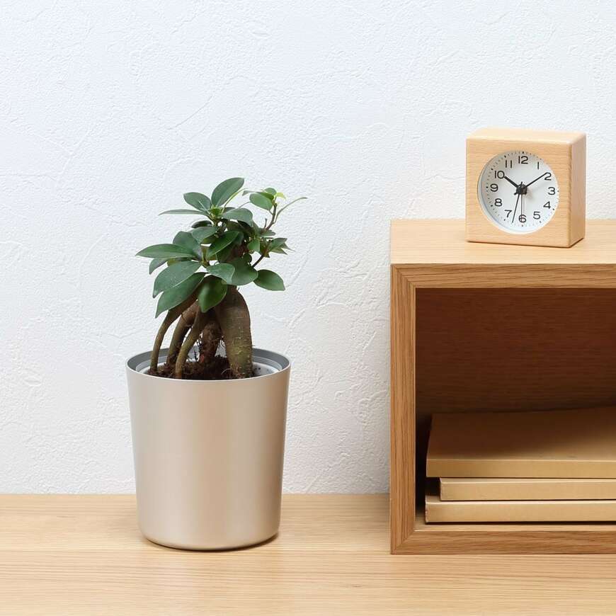 画像出所：無印良品公式