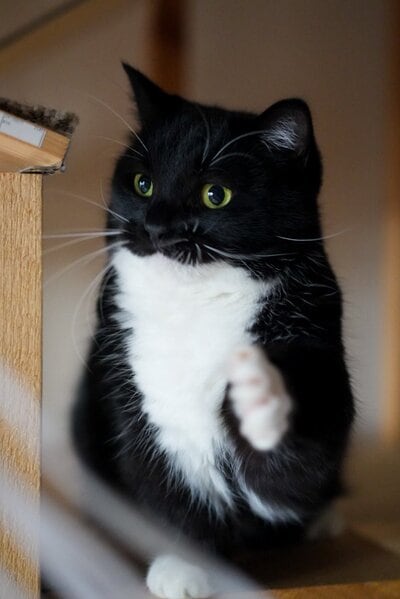 出所：@unicouniuni3