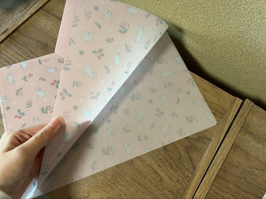 セリア、LJP A4　クリアホルダー 3ポケットネコの画像