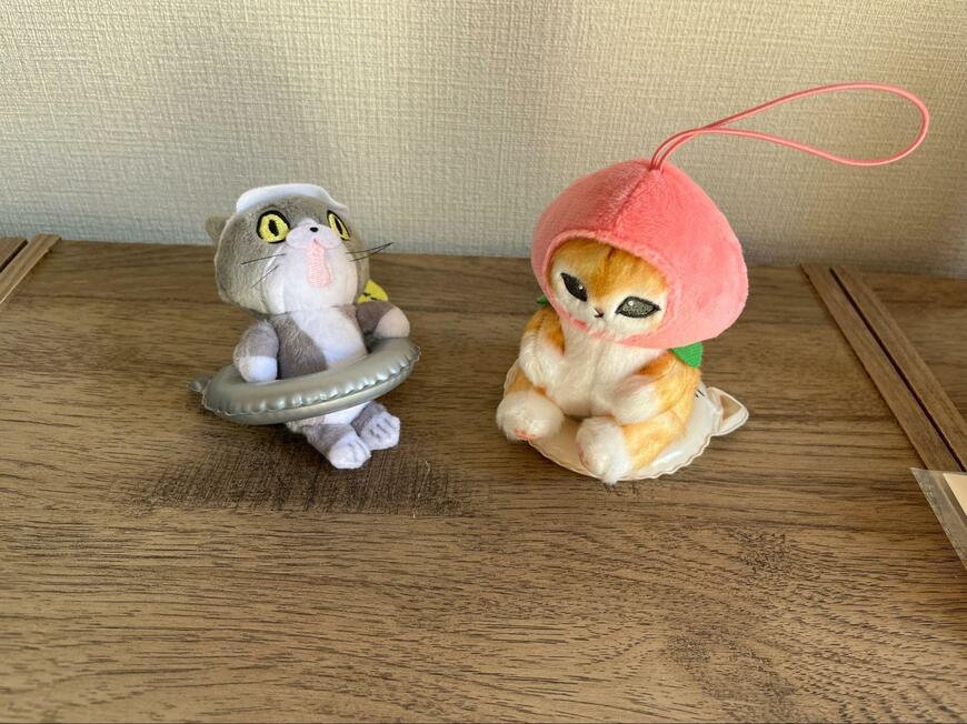 セリア、ミニ浮き輪ネコ画像