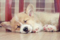 人生100年時代の70代、いくら貯金が必要？お金を増やすコツ