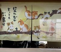 暖簾の前で発した「魔法の言葉」　猫達の反応に「すごーい！！」Xユーザー悶絶