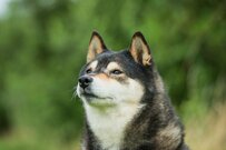 厚生年金と国民年金「実際の平均月額はいくら？」令和5年度の年金額引き上げへ