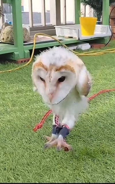 投稿動画のワンシーン