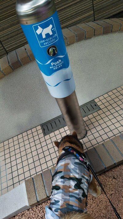 押すと水が流れるトイレ