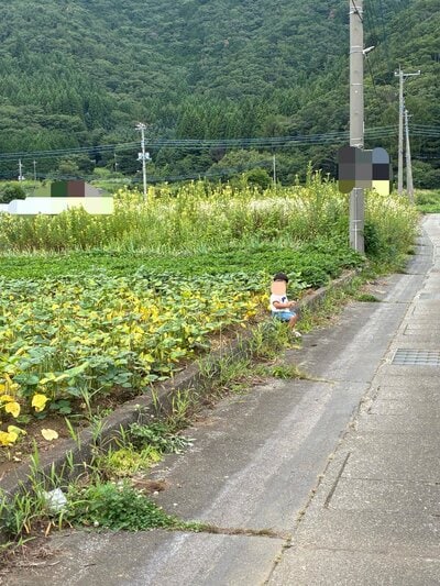散歩中の息子さんの様子