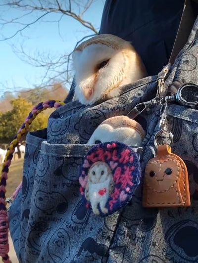 投稿動画のワンシーン