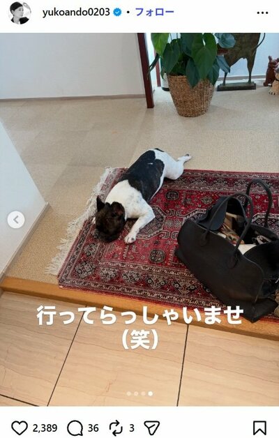 安藤優子のInstagram投稿（お見送りするタンゴ）