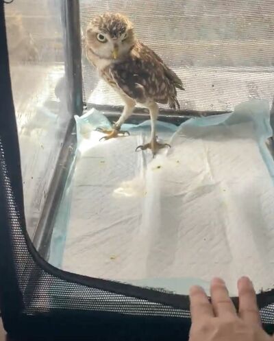 投稿動画のワンシーン