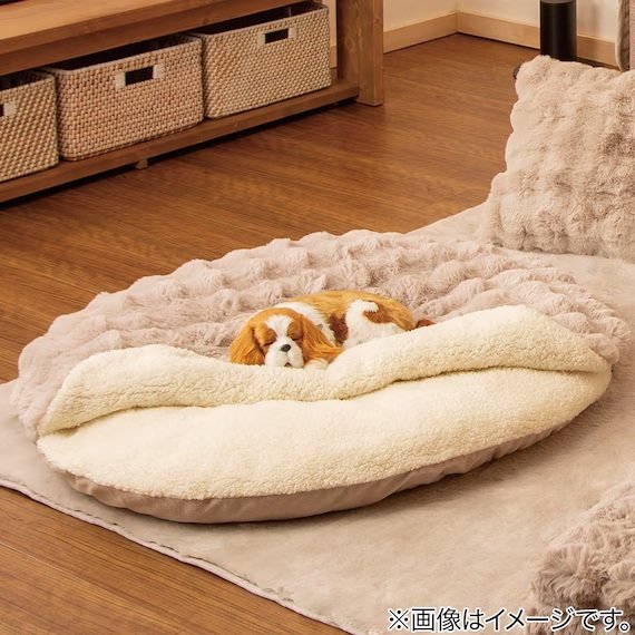 ペットとの癒しの時間にもお役立ち