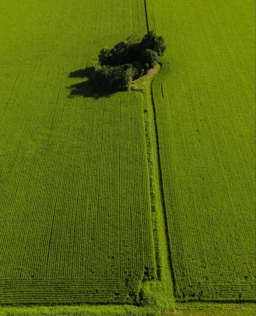 出所：@enuenuenubi