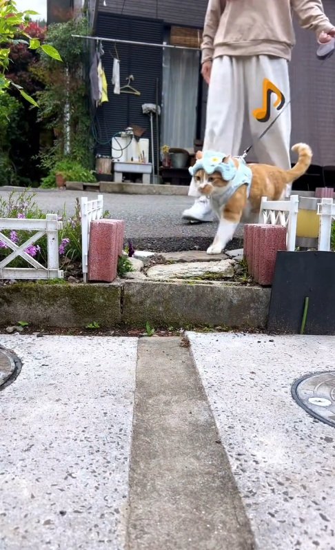 出所：@monburan_sanpo