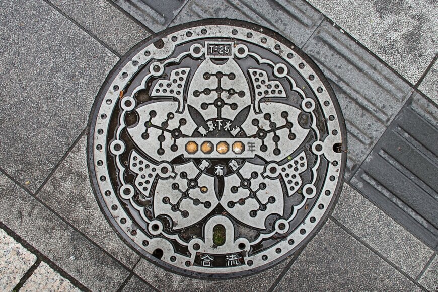 fred.araujo.photographe/shutterstock.com