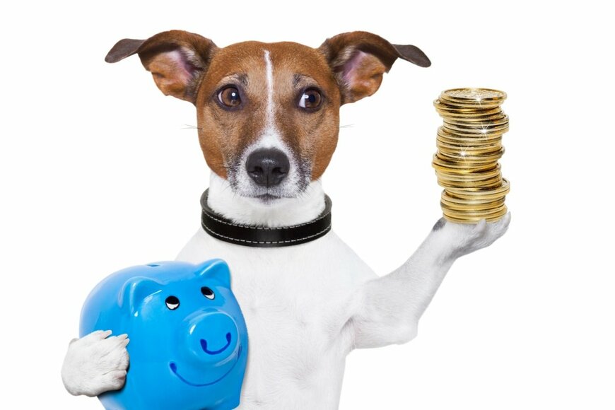6月支給【厚生年金と国民年金】年金受給額は2.7％増！年金振込通知書もチェック