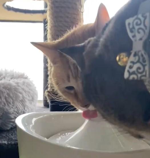 出所：@luna7taka9