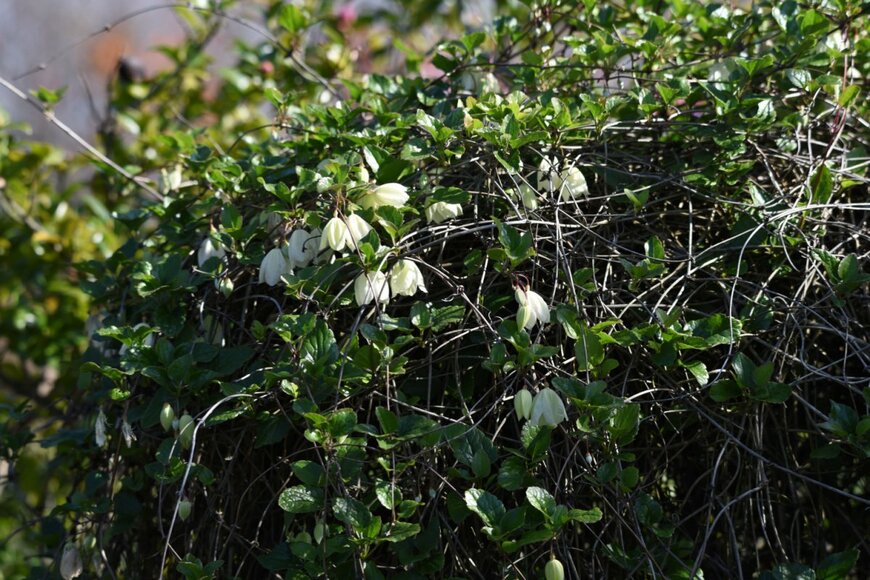 tamu1500/shutterstock.com