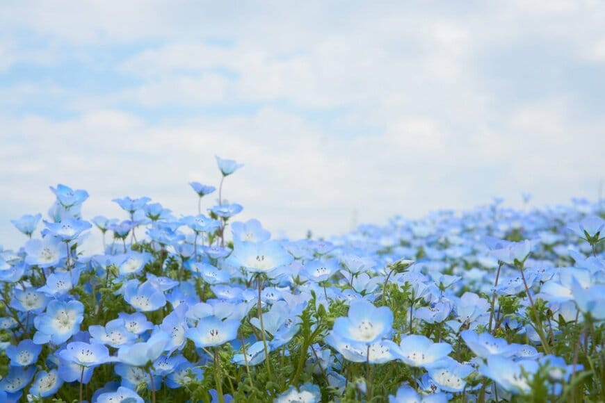 sssubinpark/shutterstock.com