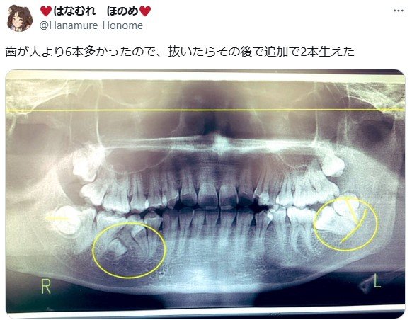 出所：@Hanamure_Honome