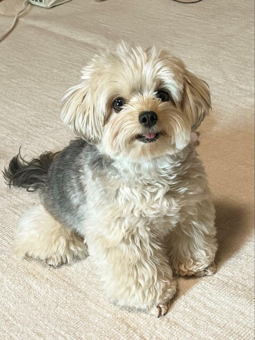 出所：@potage_0924