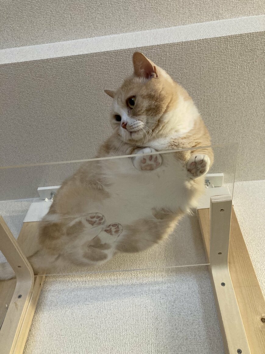 出所：@nekotansoku