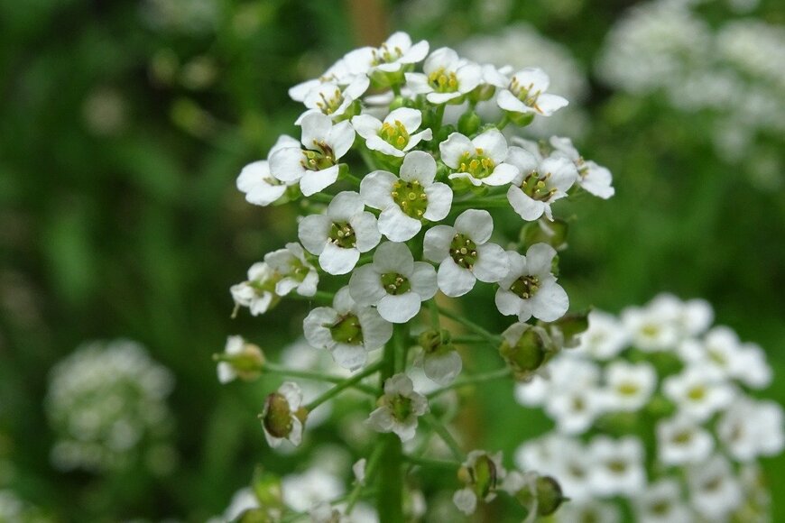 Annerieke Schuurman/istockphoto.com