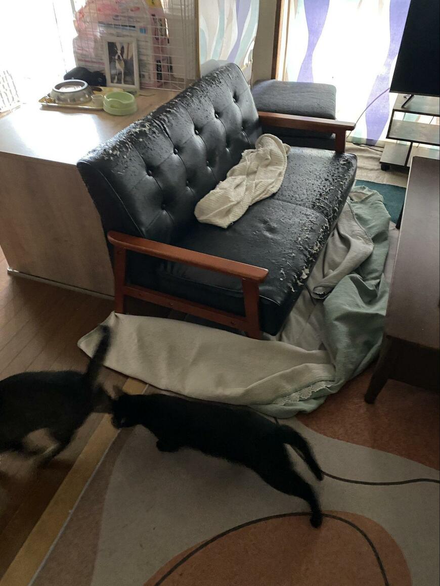 出所：@00shitemita