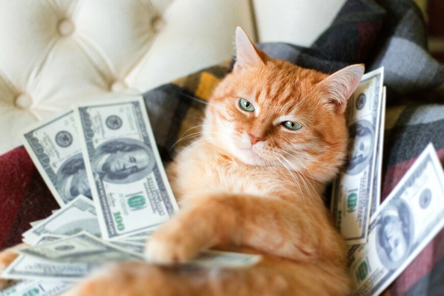 「年収1000万円」は日本で数パーセント？世帯年収での貯蓄額の平均と中央値はいくらか