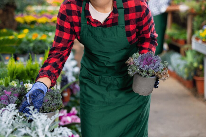 BearFotos/shutterstock.com