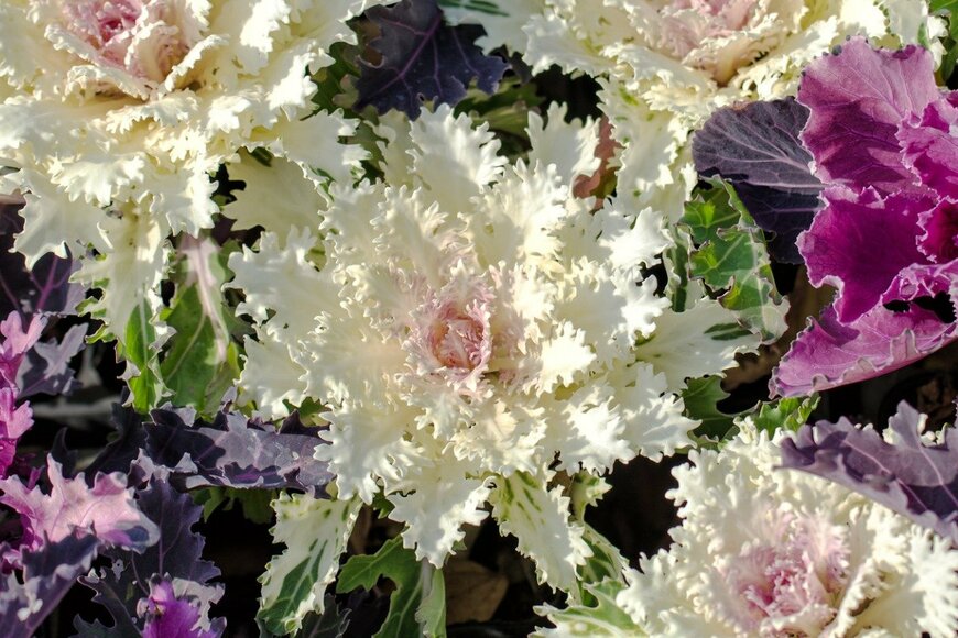 fpdress/istockphoto.com