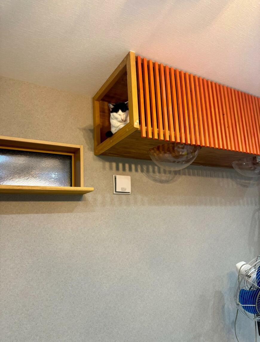 出所：@omochi_nam01