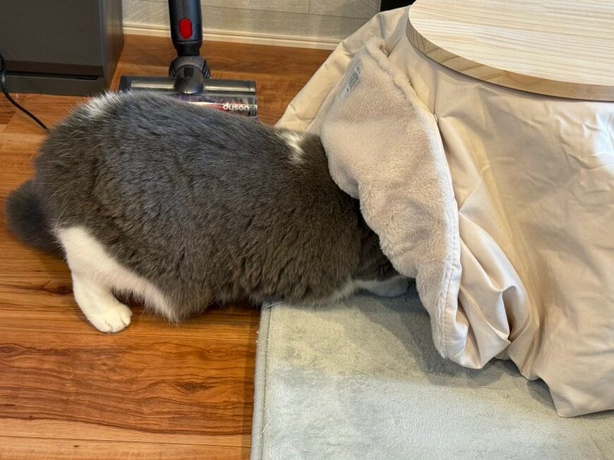 出所：@mog_cororincho