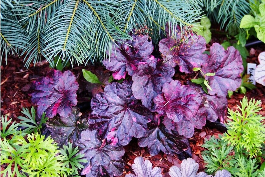 Gratysanna/istockphoto.com