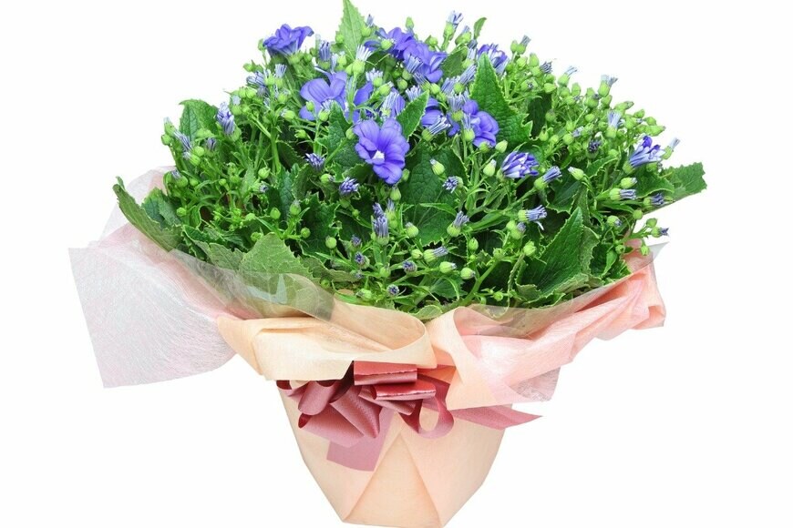 hawk111/istockphoto.com