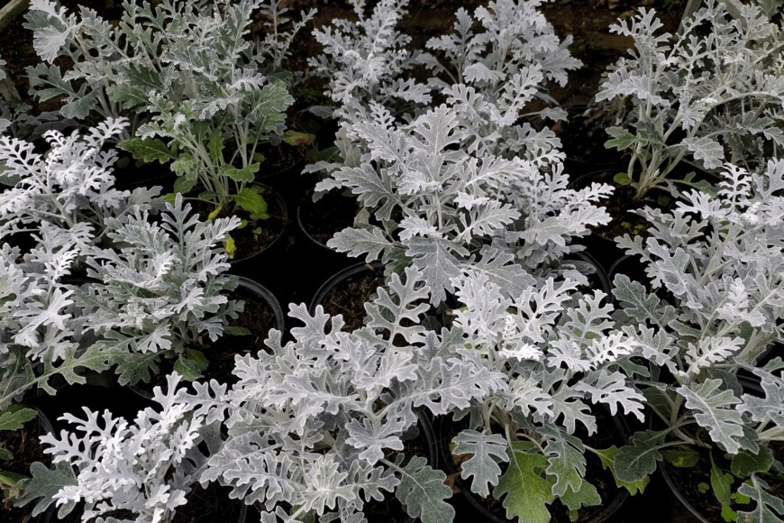 Hermawan/istockphoto.com