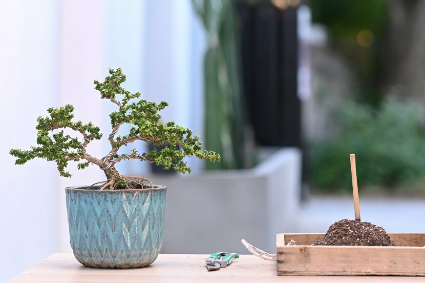 PrathanChorruangsak/istockphoto.com