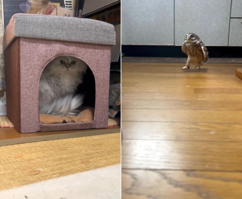 出所：@cr8673.hiro