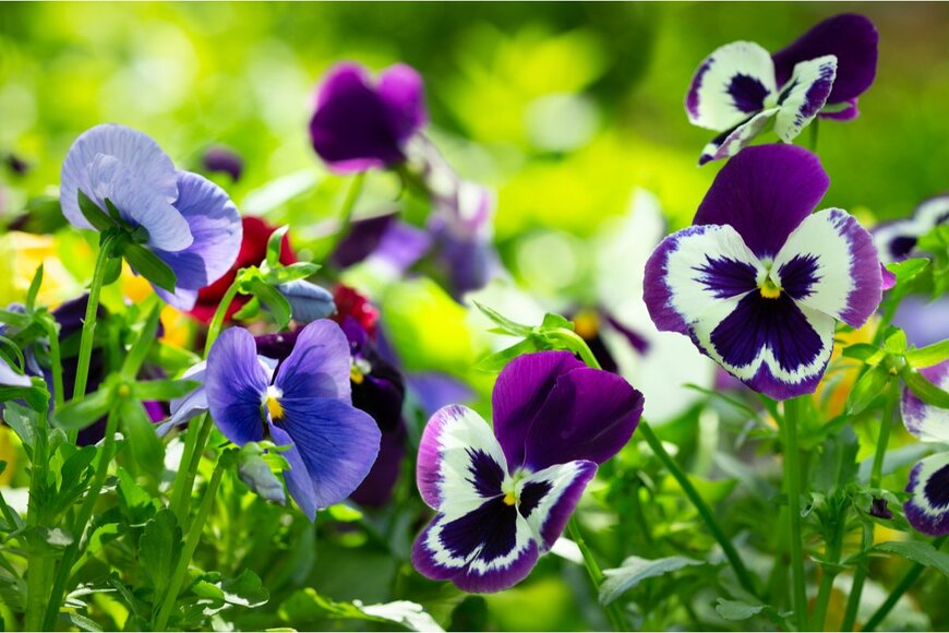 Nitr/shutterstock.com