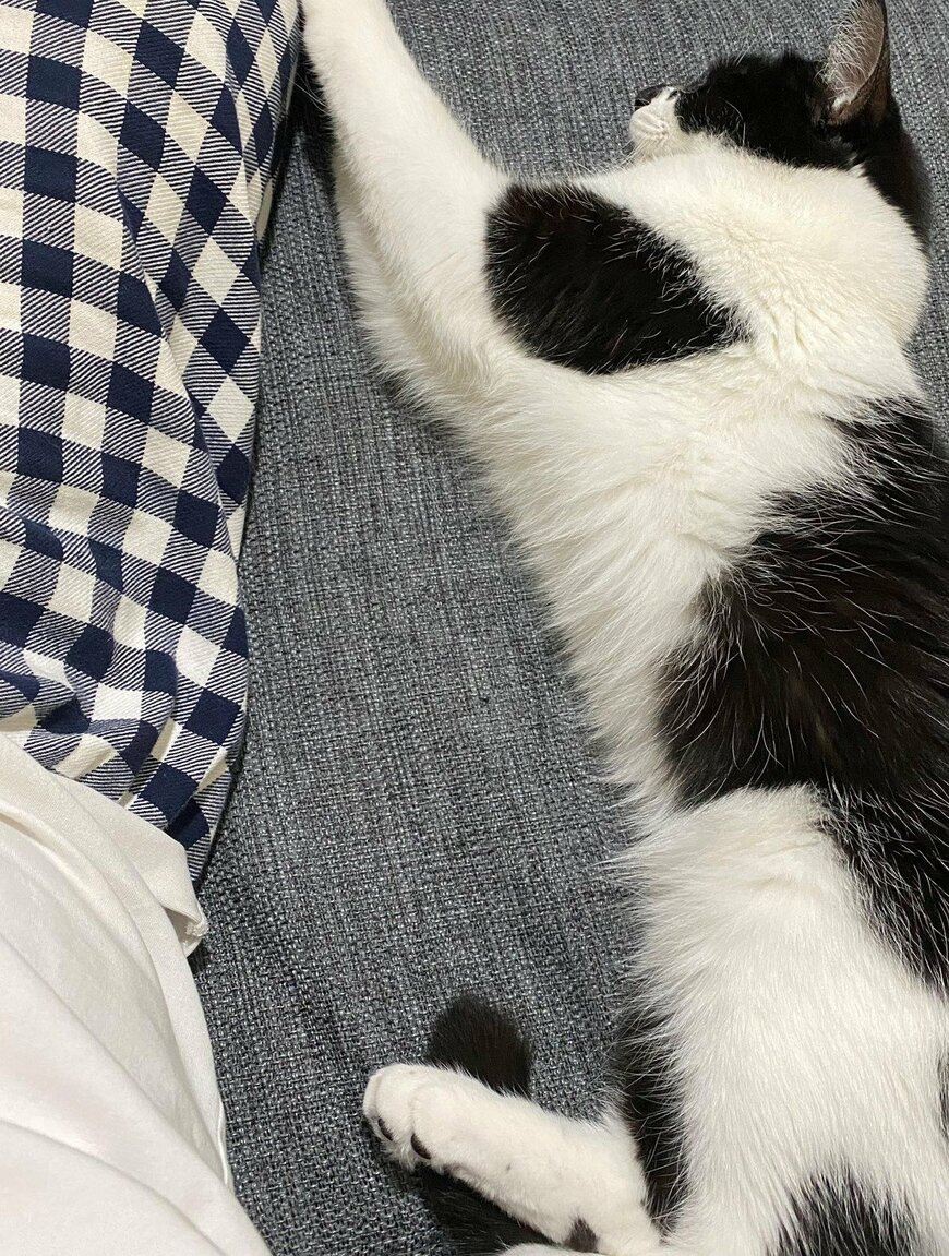 出所：@00shitemita