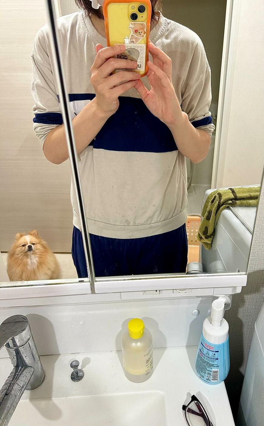 顔をパックする飼い主を見つめる犬