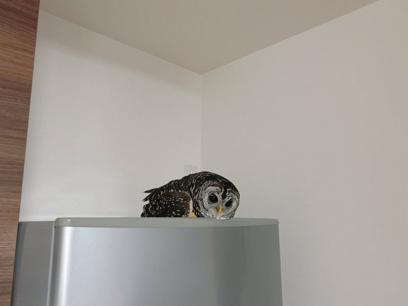 投稿写真のワンシーン